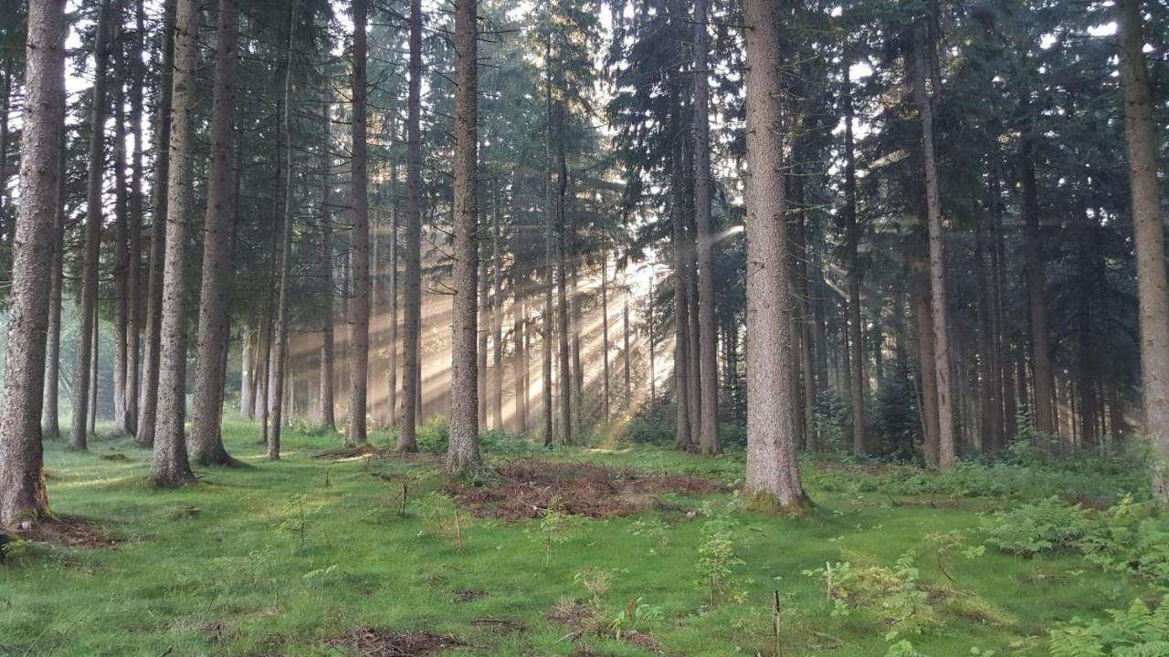 Schwarzwald Geht Immer Fewo 60 Qm Mit Grossem Suedbalkon, Wlan Und Magenta Tv Schönwalde Extérieur photo